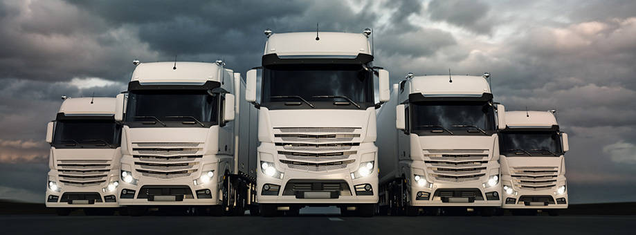 Transport Copacking Multi-Logistik ML